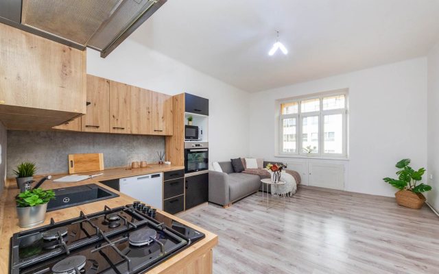 Prodej bytu 1+1 55 m², Praha 4 – Nusle Prodej bytu 1+1 55 m², Praha 4 – Nusle
